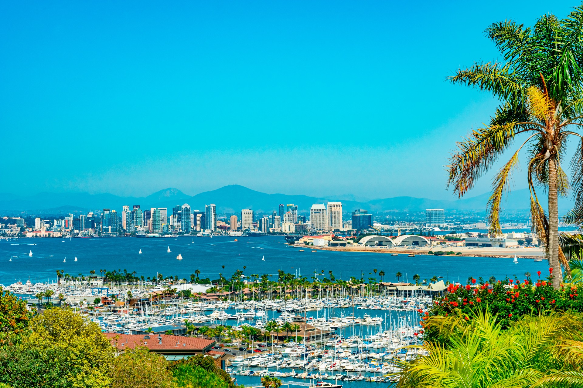 San Diego skyline and bay from one of the landscaped hillsides.